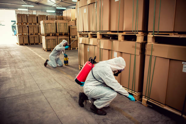 Best Pest Prevention Services  in Southgate, KY