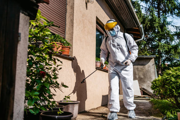 Best Wasp Removal Services  in Southgate, KY