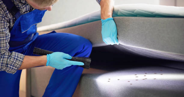 Pest Control Cost in Southgate, KY