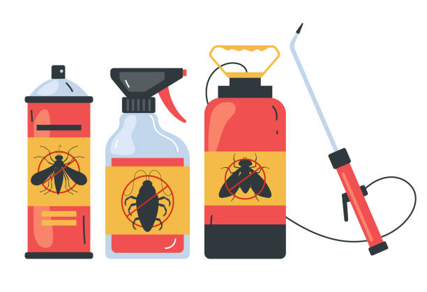 Wasp Removal Services in Southgate, KY