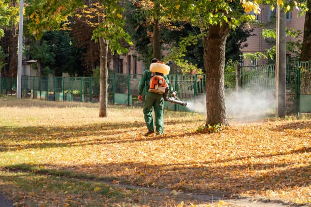Best Wasp Removal Services  in Southgate, KY