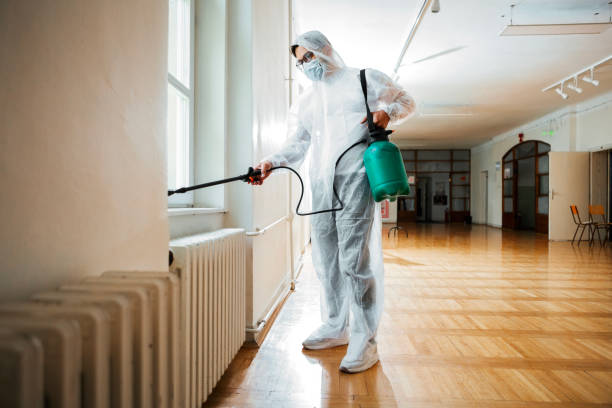 Best Flea Control Services  in Southgate, KY