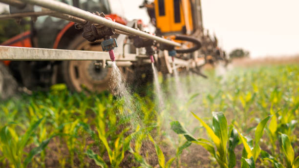 Best Ant Control Services  in Southgate, KY
